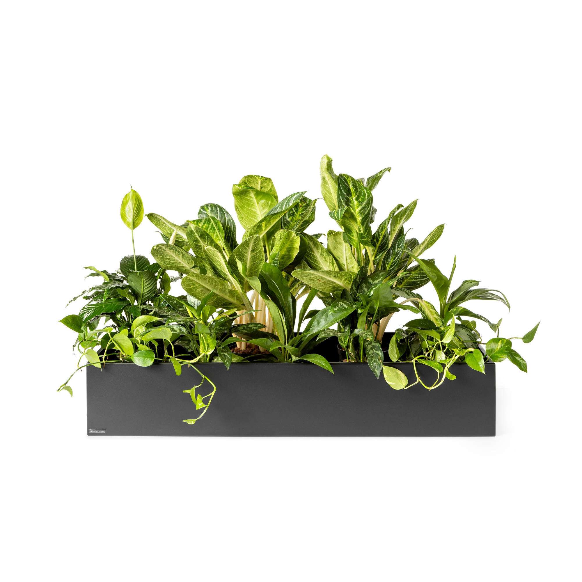 Plantenbak Basic