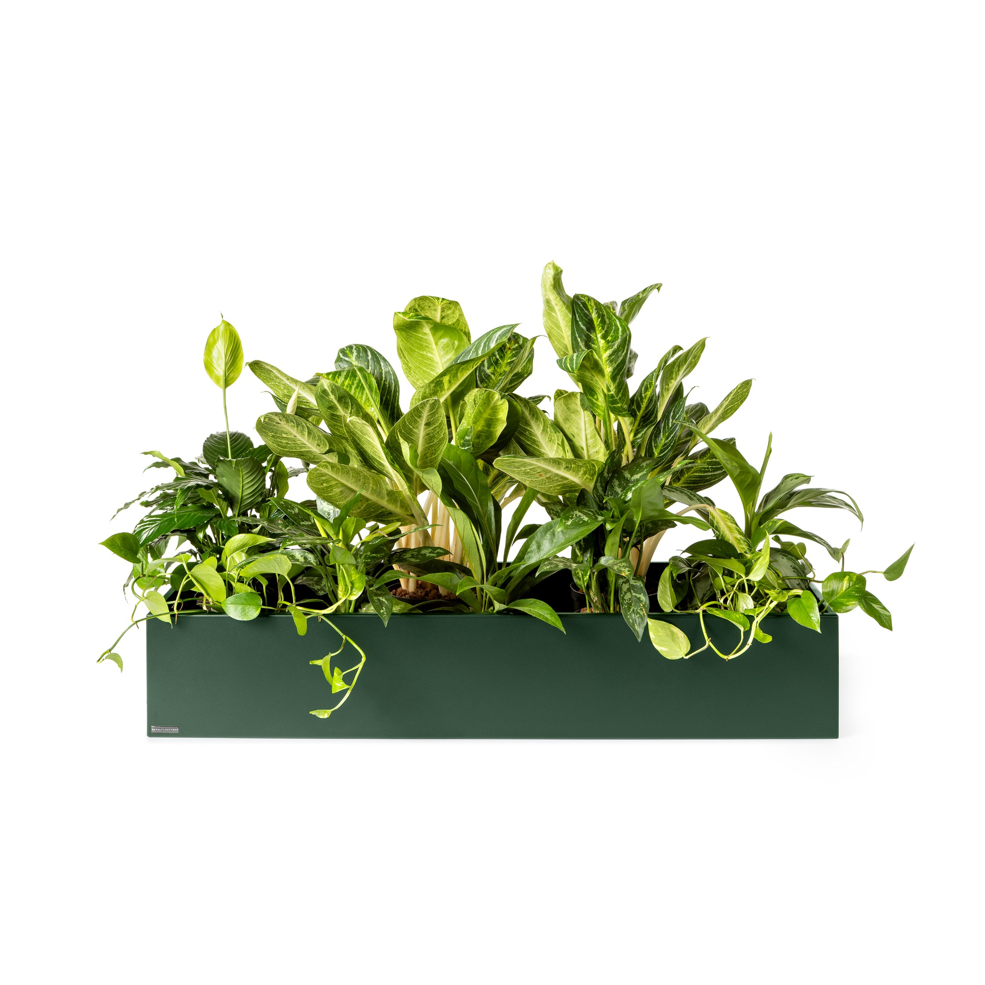 Plantenbak Basic