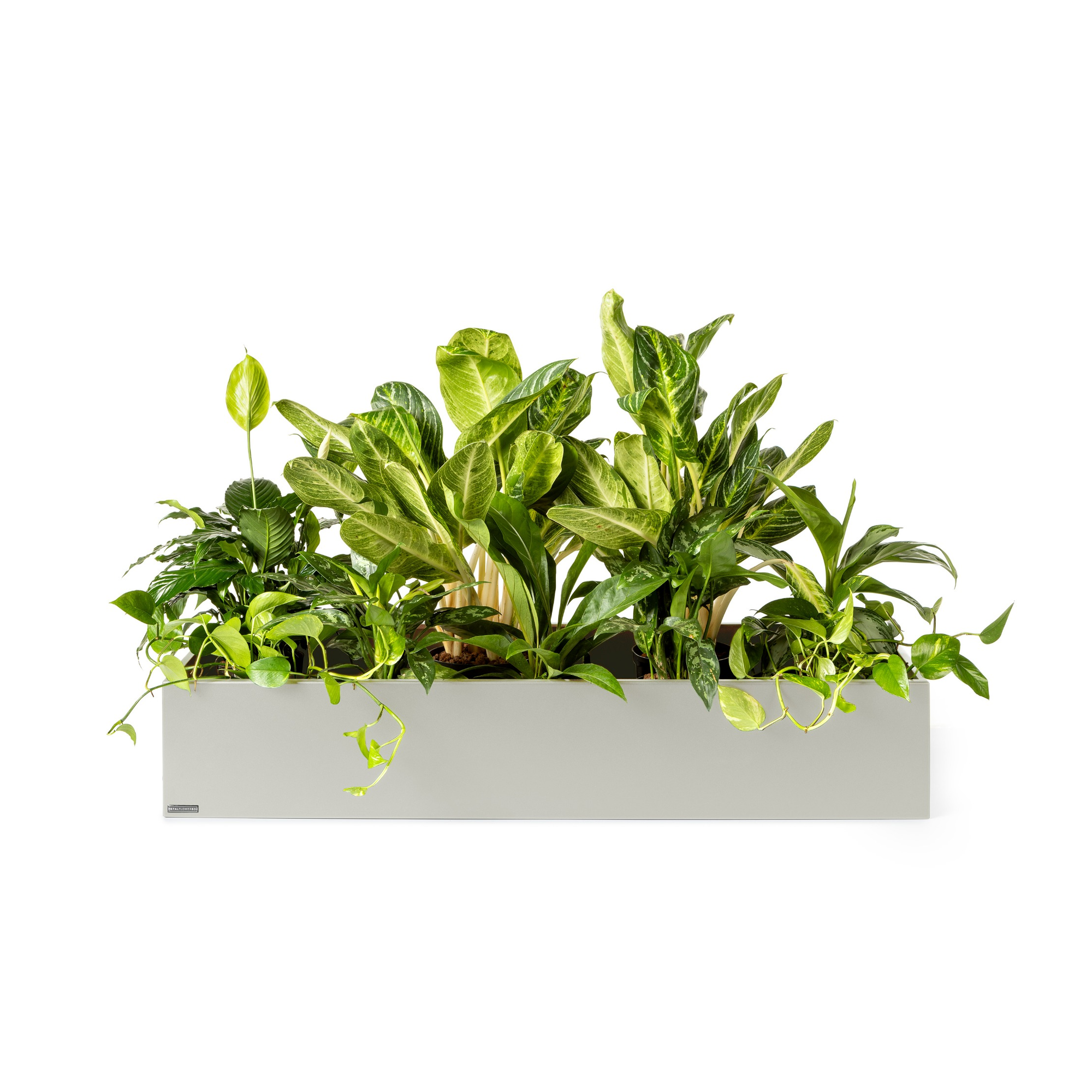 Plantenbak Basic
