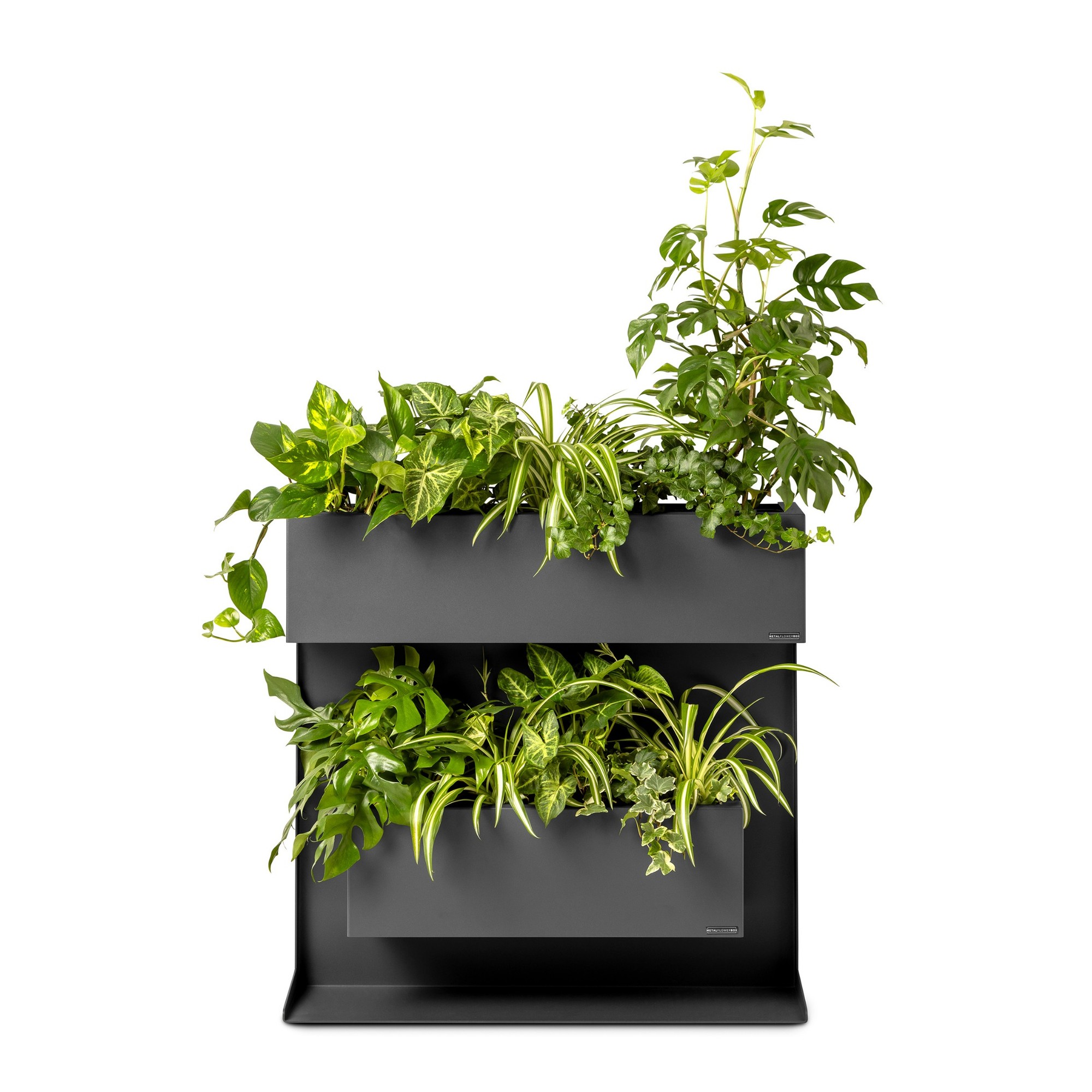 Plantenbak Professional