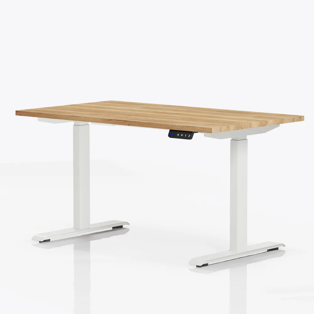Elektrisch verstelbaar bureau | basic | 120x80