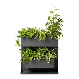 Plantenbak Professional