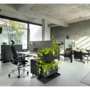 Plantenbak Professional