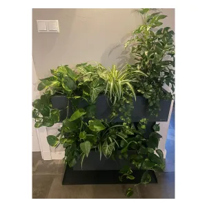 Plantenbak Professional