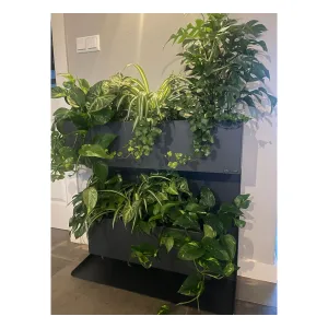 Plantenbak Professional