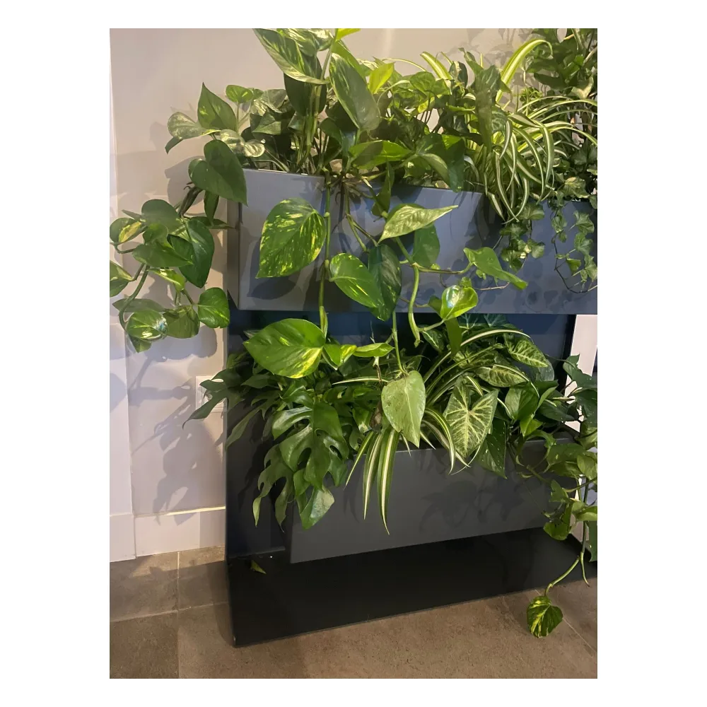 Plantenbak Professional