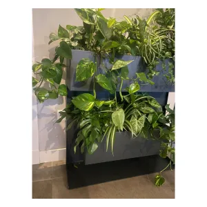 Plantenbak Professional