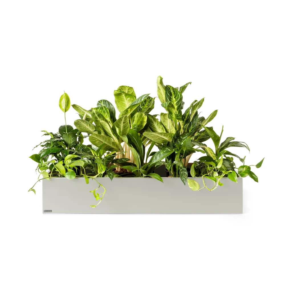Plantenbak Basic