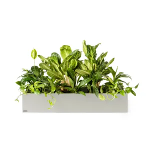 Plantenbak Basic
