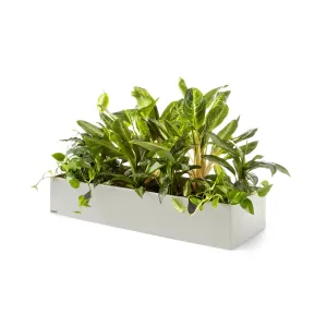 Plantenbak Basic