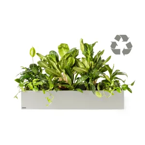 Plantenbak Basic