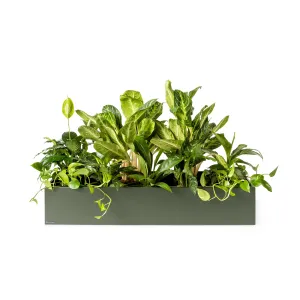Plantenbak Basic
