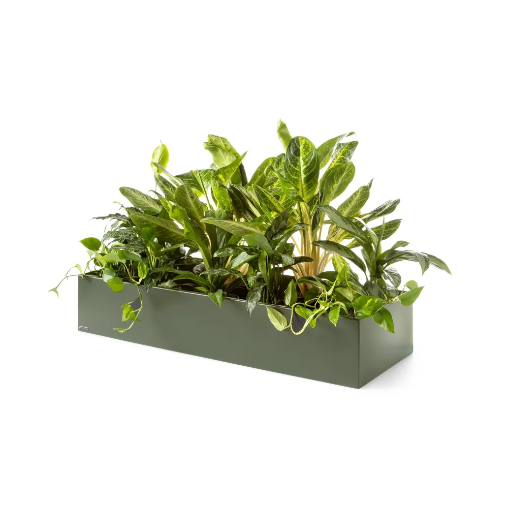 Plantenbak Basic