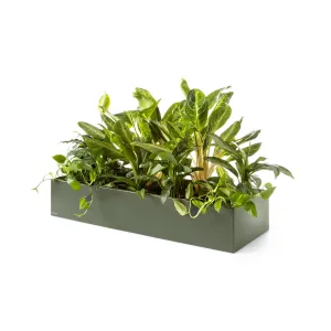Plantenbak Basic