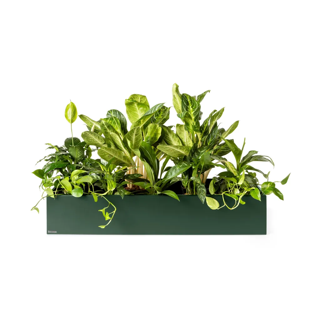 Plantenbak Basic