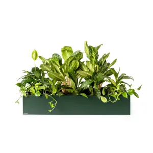 Plantenbak Basic