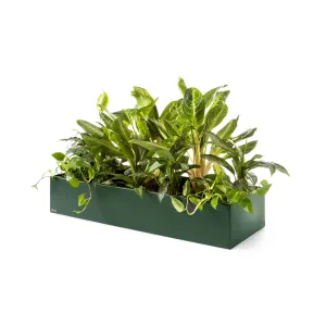 Plantenbak Basic