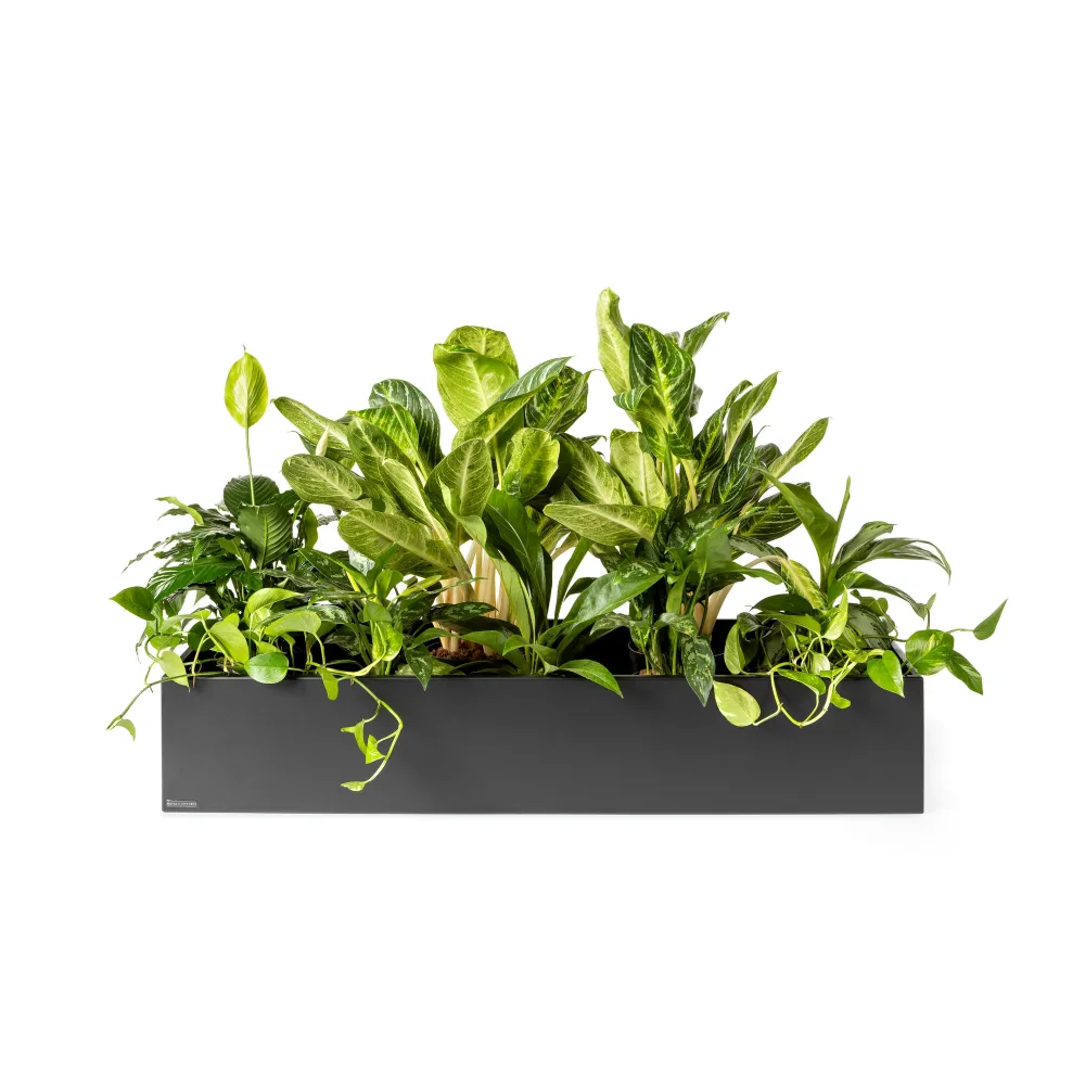 Plantenbak Basic