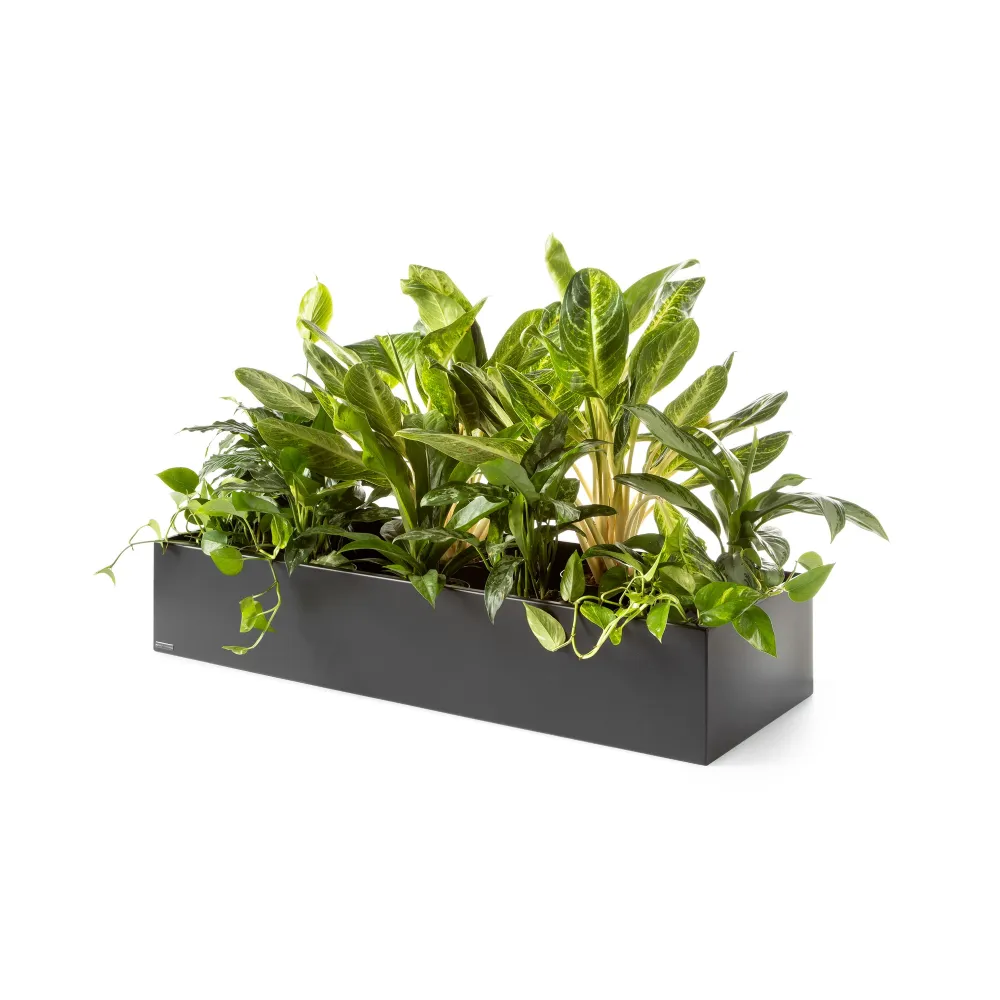 Plantenbak Basic