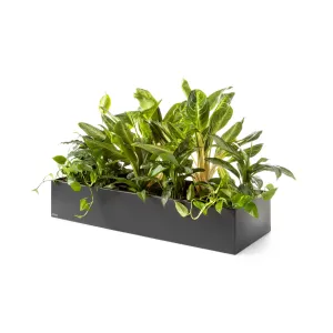 Plantenbak Basic