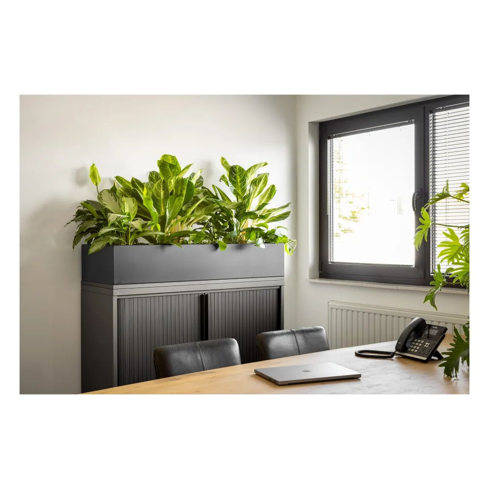 Plantenbak Basic