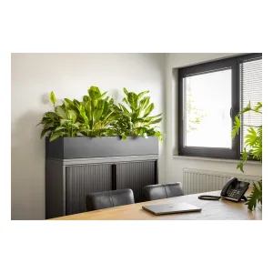 Plantenbak Basic