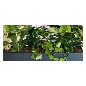 Plantenbak Basic