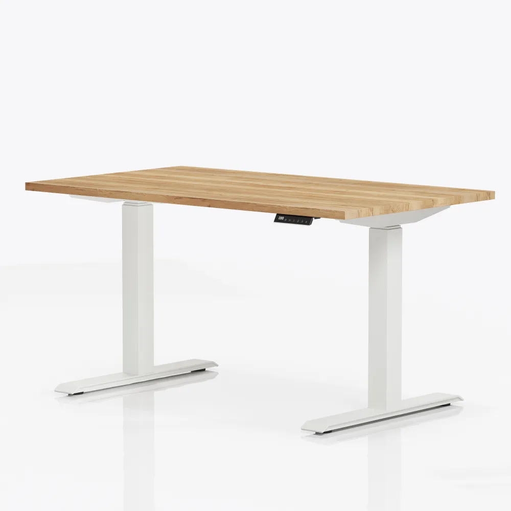 Elektrisch verstelbaar bureau | advanced | 120x80