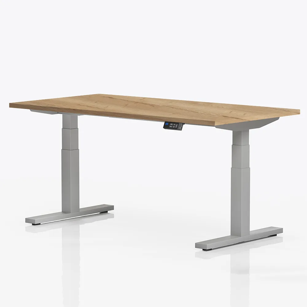 Elektrisch verstelbaar bureau | professional | 160x80