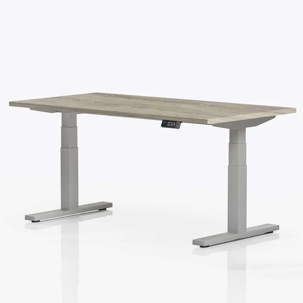 Elektrisch verstelbaar bureau | professional | 160x80