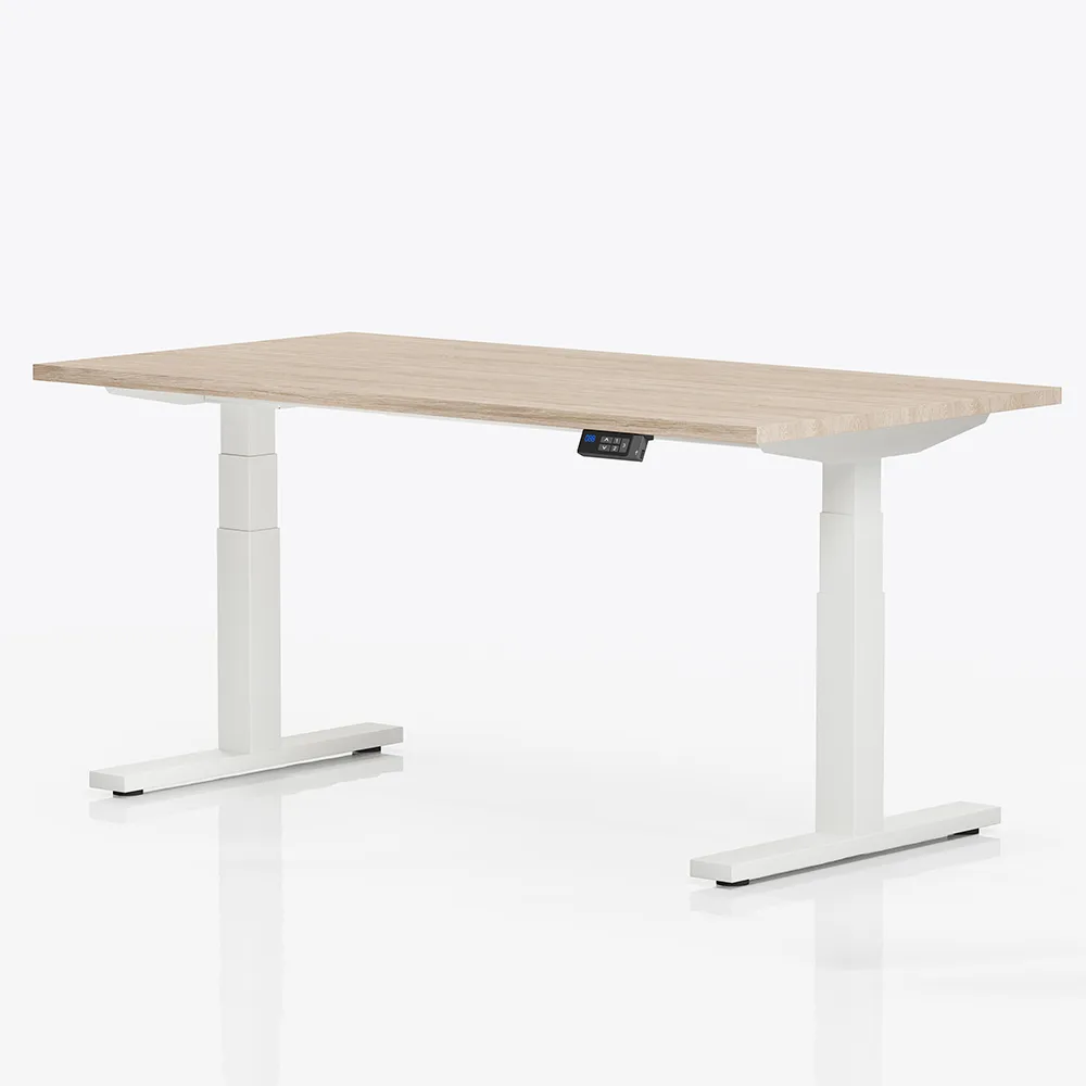 Elektrisch verstelbaar bureau | professional | 160x80