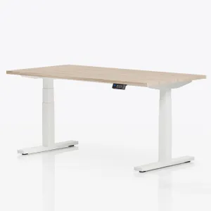Elektrisch verstelbaar bureau | professional | 160x80